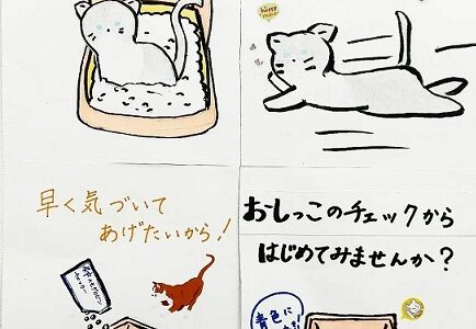 猫ちゃん用 新製品のお知らせ