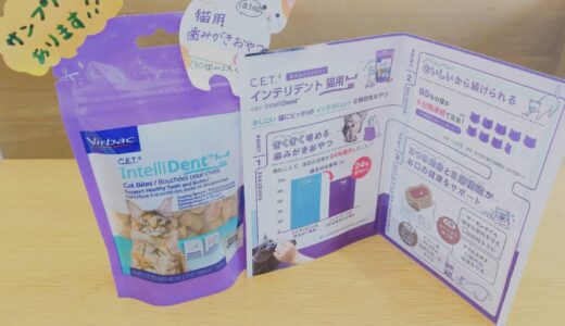 猫ちゃん用デンタルケア新商品