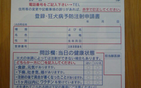 狂犬病予防注射は４/1~6/30